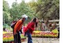 IMG_20201024_110528