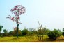 _DSC0035