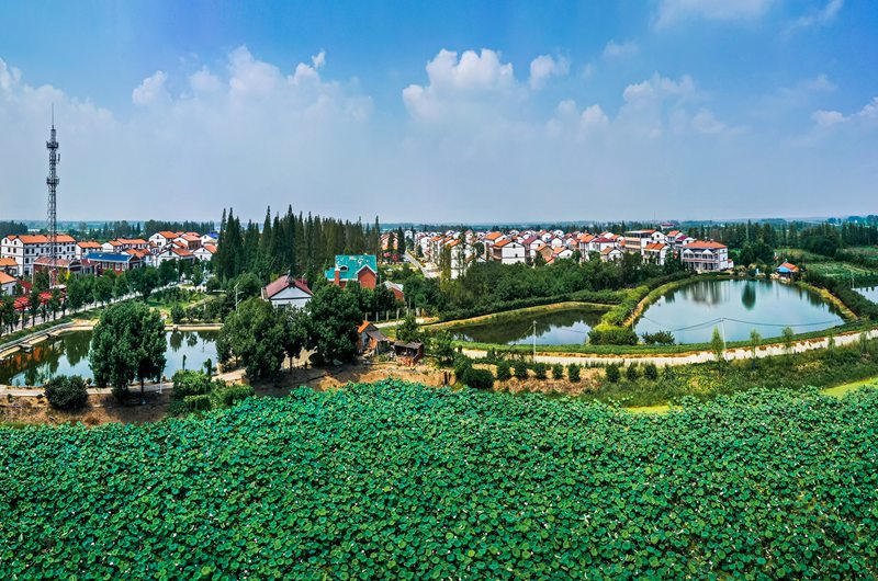 群力新农村