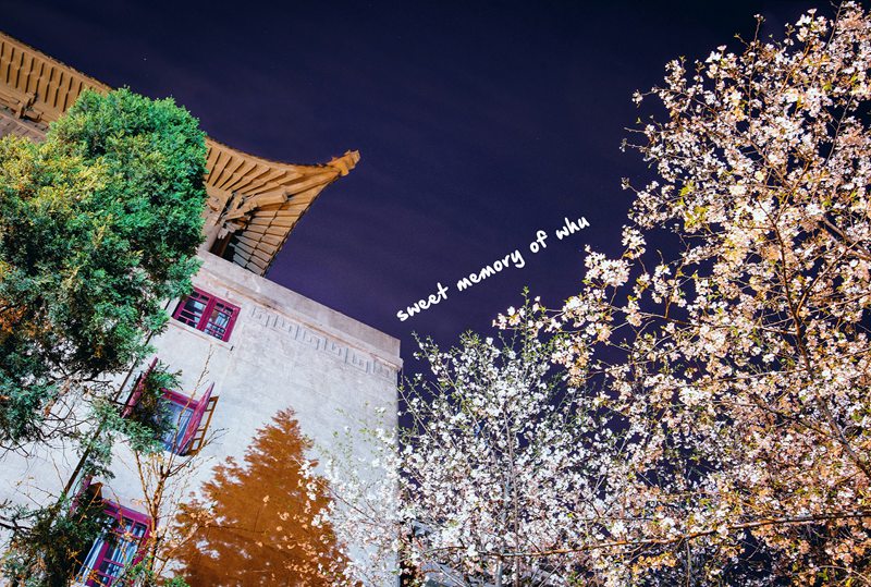 武大樱花大道