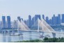 桥连着心-站得高望得远，只想记录大美武汉的美景，摄于武汉市武昌区徐家棚新长江滨江花园34楼楼顶。张忻欣摄影