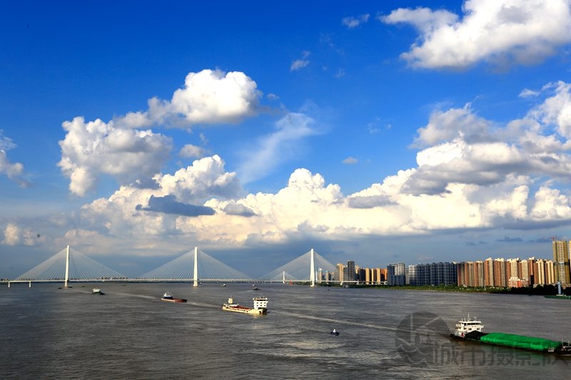 白云伴我归
