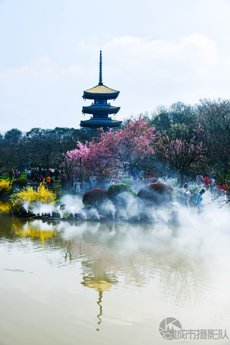 如梦似幻樱花园