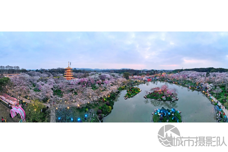 美丽的东湖樱花园