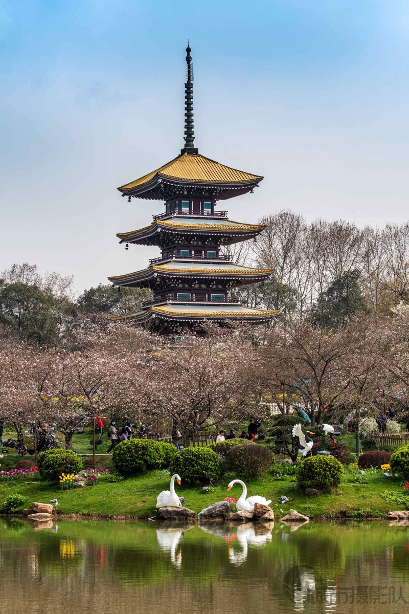 樱花园里五重塔