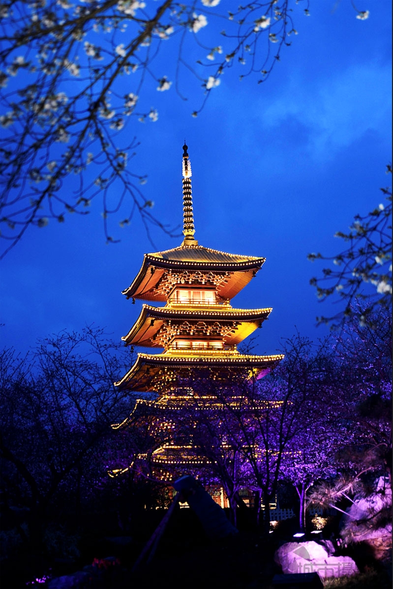 夜色下的樱园五重塔