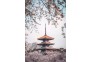 6-彭小胖-东湖樱花园