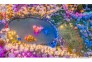 夜色东湖樱花园美轮美奂
