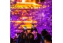 夜色东湖樱花园美轮美奂