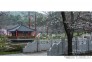 3月14日，天气晴好，武汉东湖樱花园繁花似锦，游人如织。