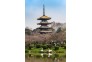 7群 张国谟 摄 0309 东湖樱花园 (3)