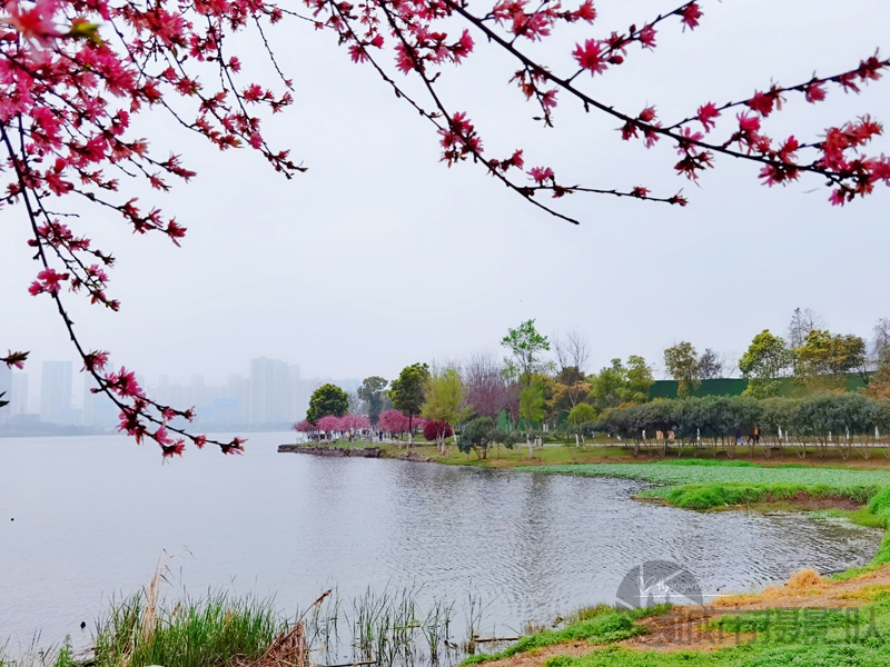 墨水湖公园与春同行