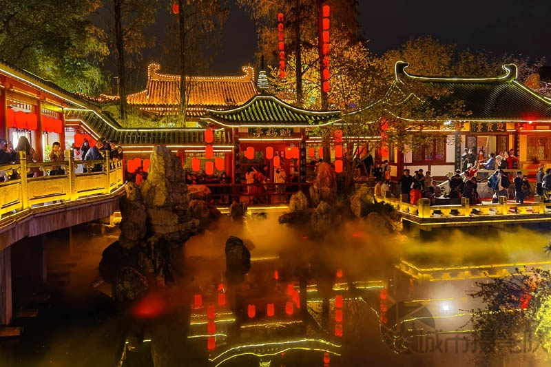 花开满园，夜色璀璨