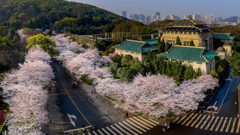晨光里的武汉大学