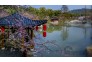 赏花季航拍东湖樱园，如梦如幻满园芳。