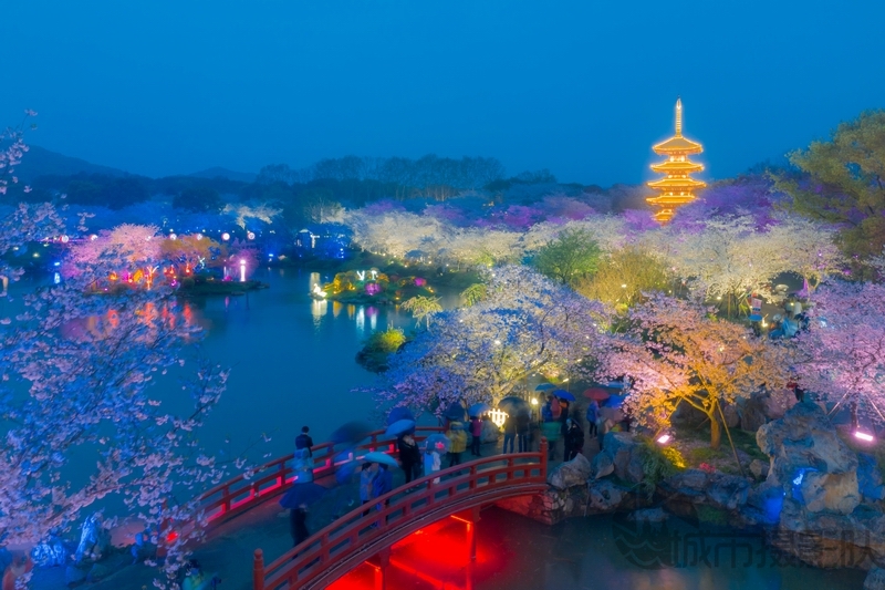 东湖樱园风情万种