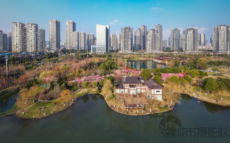 沙湖美景