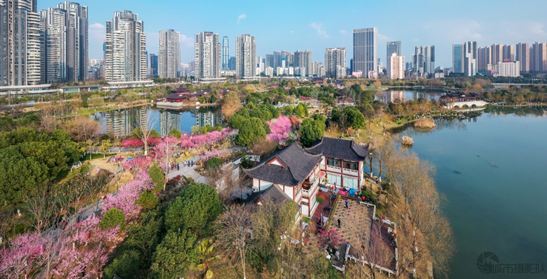 沙湖美景