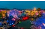 东湖夜樱