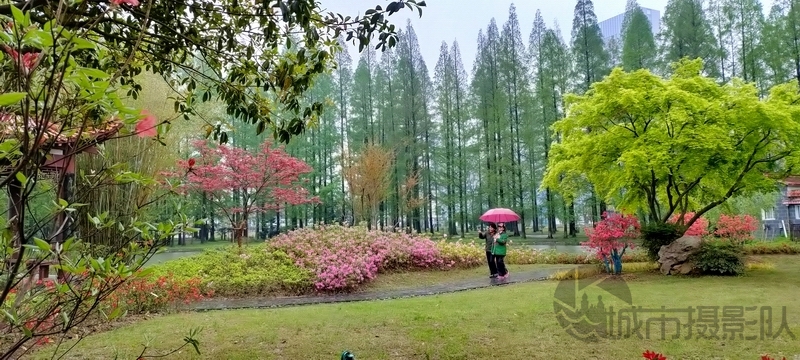 踏青赏花，快到青山公园来