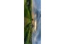 李梓固柏泉茶园