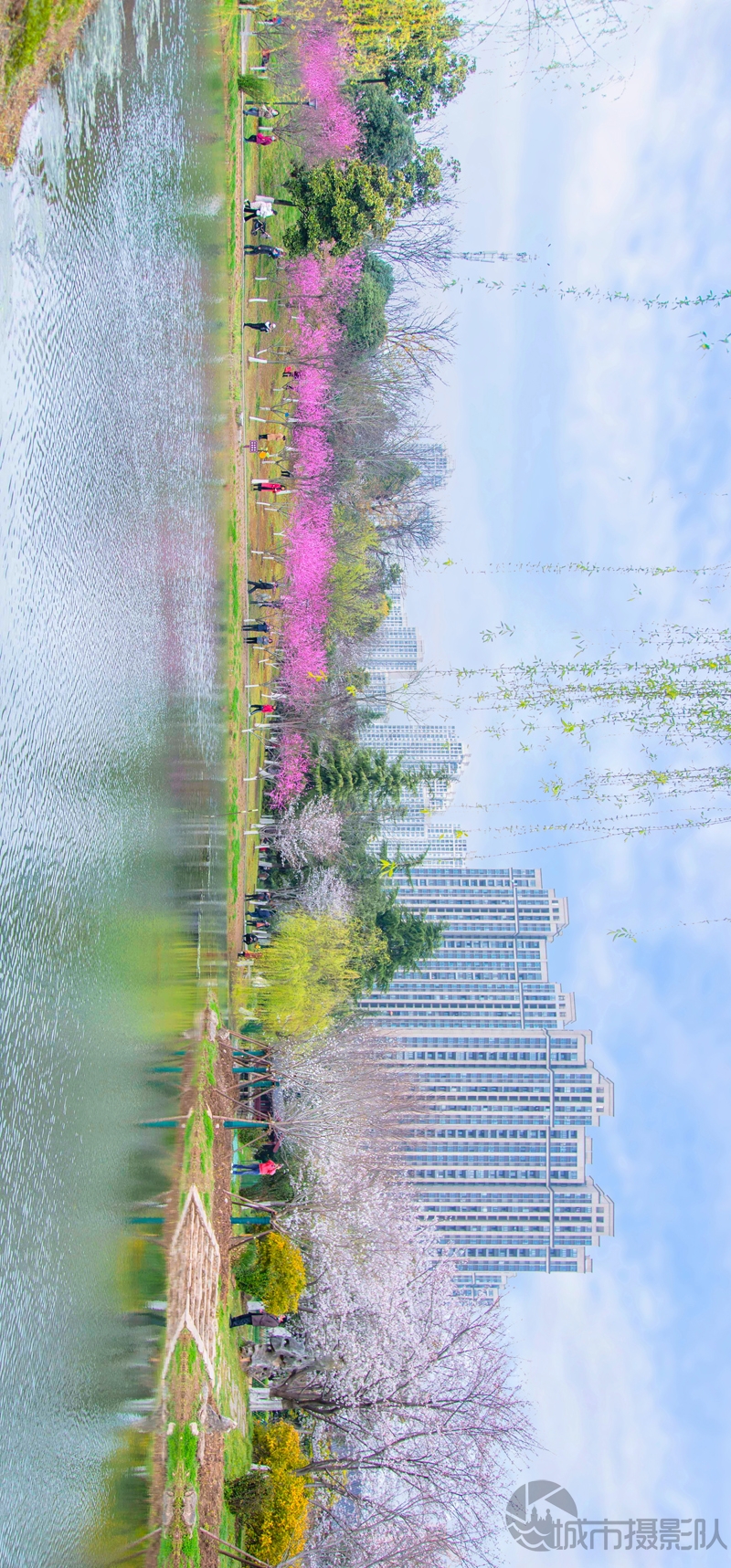 明媚春天花绽放