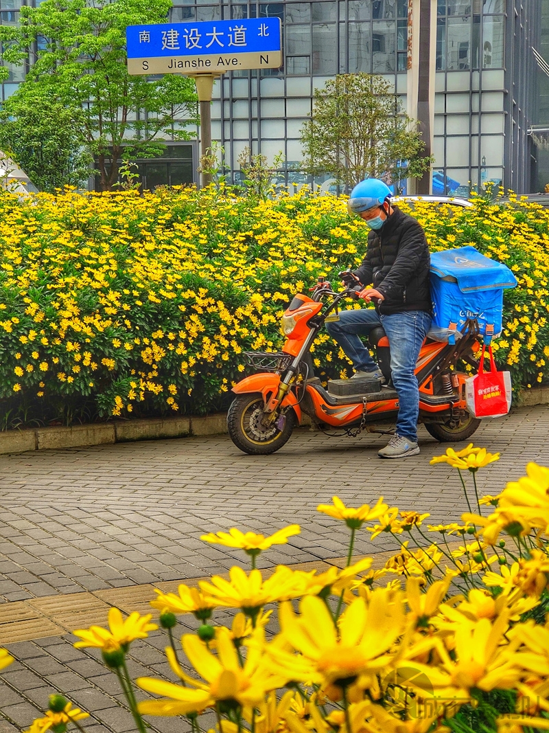 城市花园中的采蜜人