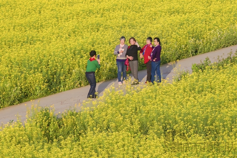 春光无限