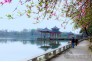 汉阳莲花湖公园，桃花盛开，春风扑面。