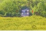 春光无限