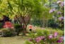 杜鹃花开万紫千红，市民纷纷踏青青山公园。