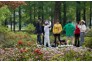 杜鹃花开万紫千红，市民纷纷踏青青山公园。