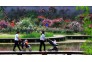 1-5-张忠辉-0419植物园花艳人欢02