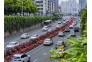 不论小区还是校园，还是公路或街角，城市随处可见鲜艳多彩月季花，武汉越来越美了。