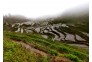 蕲春雾云山梯田