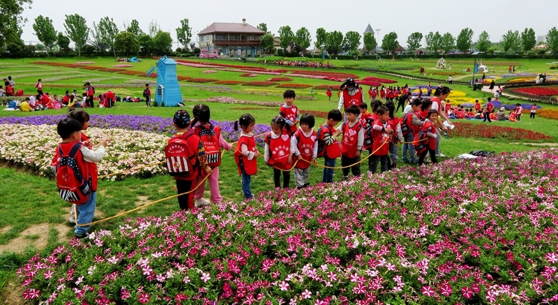 花博汇研学旅行