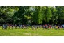 4月29日，武昌实验小学的同学们到解放公园春游踏青，他们采野花、拾树叶，写自然笔记，制作粘贴画，认识自然，感受自然。