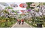 罗惠芳 8《快乐时光》