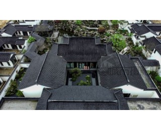 城市摄影队 | 观鸟、踢球、拍风景，小长假周边游玩得畅快