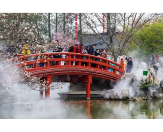 春花飞舞，江城处处春意浓｜城市摄影队