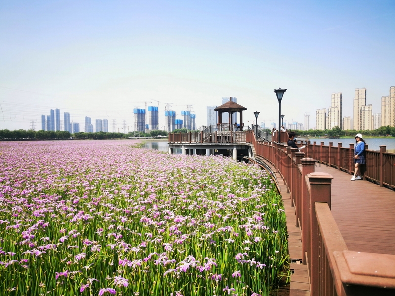 杨春湖公园，养在生闺人未识