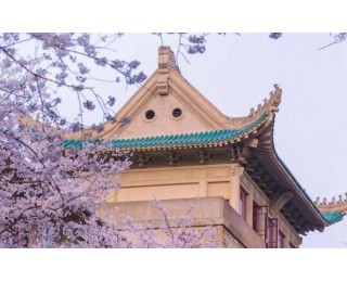 华春莹社交账号向海外推介武汉樱花，用了这4张照片……
