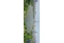 童汉芳摄2021年 月湖