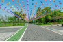 _DDC5181-