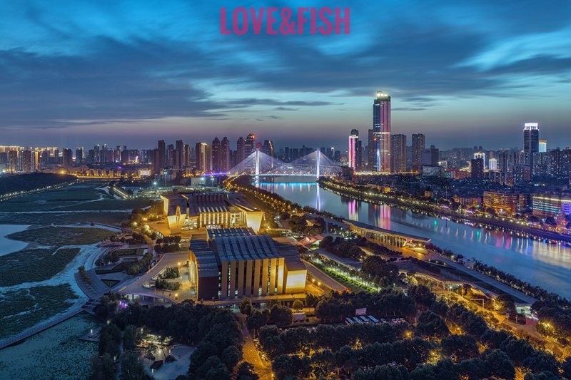 俯瞰琴台
