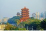 朱洪·黄鹤楼新姿·长江一桥桥头