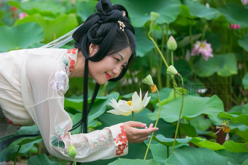 沙湖公园荷花节