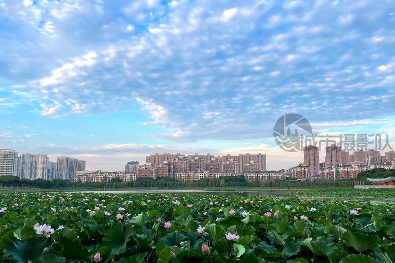 南湖晨曦