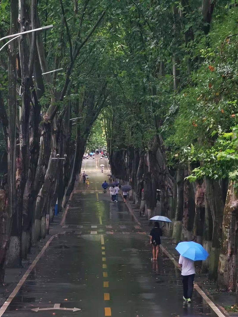 风雨带来的秋意渐起