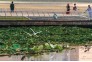 组照-沙湖精灵-何小白18086698966-(2)